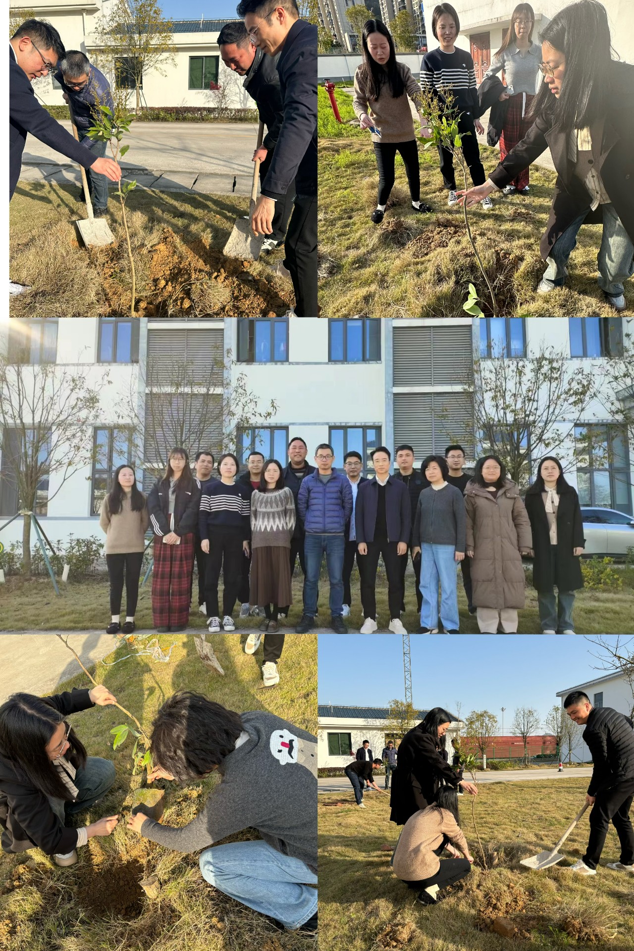 2024-3-12綠色陸港，美麗寧德，阮克妙拍攝.jpg